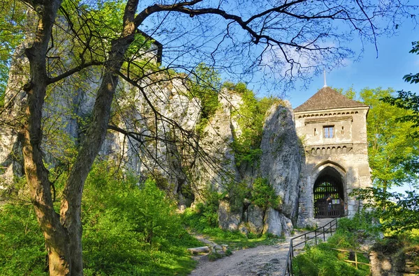 Ερείπια Του Κάστρου Όζκοου Ojcow Lesser Poland Voivodeship Πολωνία — Φωτογραφία Αρχείου