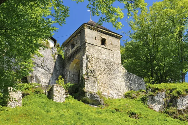 Ruins Ojcow Castle Ojcow Lesser Poland Voivodeship Poland — 스톡 사진