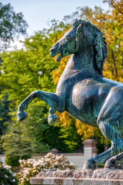 Palace Maltzan Family Statue Horse Milicz Lower Silesian Voivodeship Poland — ストック写真