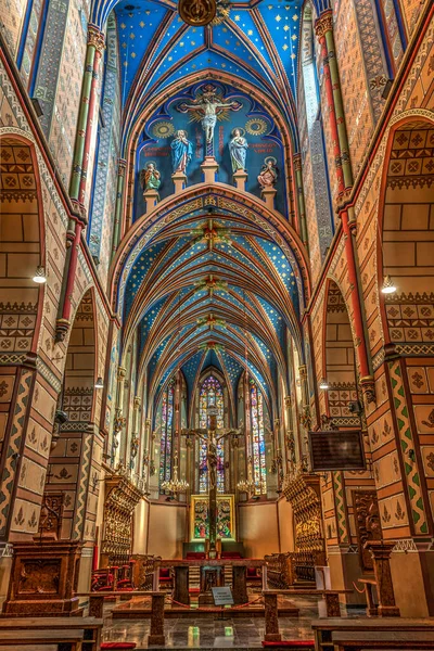 Cathedral Basilica Assumption Blessed Virgin Mary Wloclawek — Stockfoto