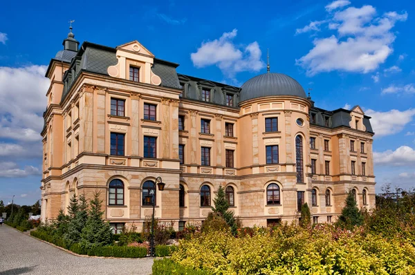 Amber Palace Wloclawek Kuyavian Pomeranian Voivodeship Poland — Stockfoto