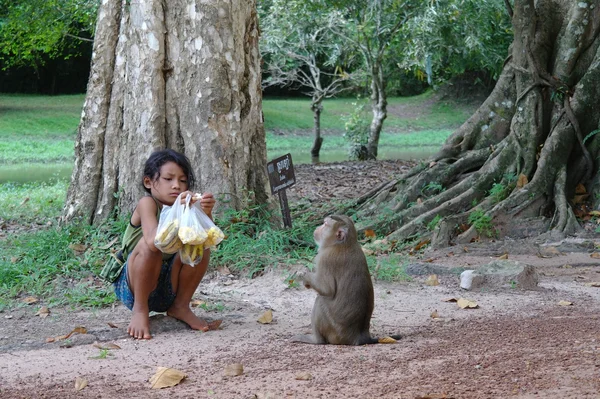 少女と猿. ストック画像