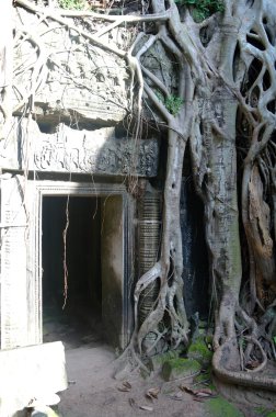 Angkor. Kamboçya.