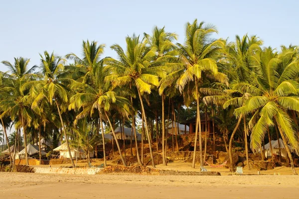 Goa.India.