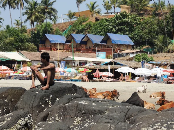 Vagator beach.goa. Hindistan.