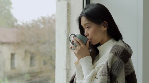 若いです悲しいアジアの女性はコーヒーや紅茶を飲み、窓の外を見て毛布で覆われて — ストック動画