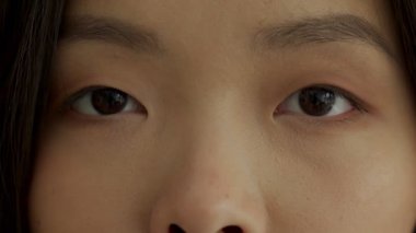 Güzel kahverengi gözler ve kameraya yakından bakan Asyalı kaşlar.