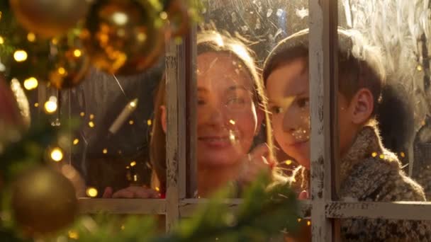Jovem mãe e filho olham pela janela na árvore de Natal — Vídeo de Stock