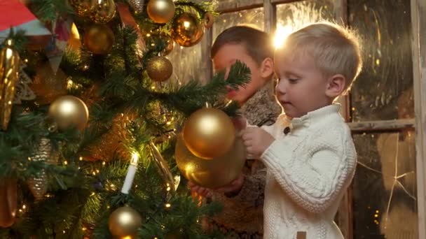 Kleiner Junge schmückt mit einem fröhlichen jüngeren Bruder einen Weihnachtsbaum, legt Spielzeug auf flauschige Zweige, genießt die gemeinsame Vorbereitung auf die Winterferien zu Hause. — Stockvideo