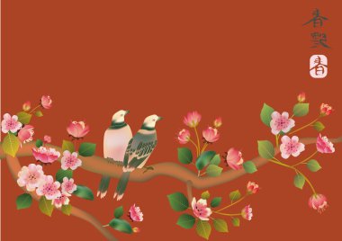 Sakura kuş. kartpostal. Menü.
