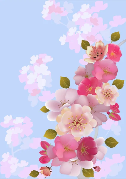 Sakura. kartpostal. Menü. — Stok Vektör