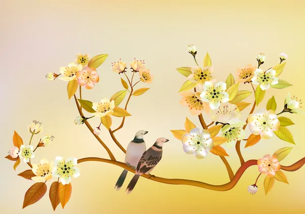 Sakura, pájaro, primavera, postal  . — Vector de stock