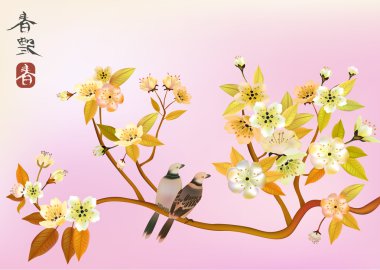 Sakura kuş. kartpostal