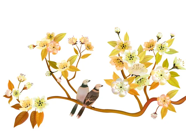 Sakura Bird. carte postale — Image vectorielle