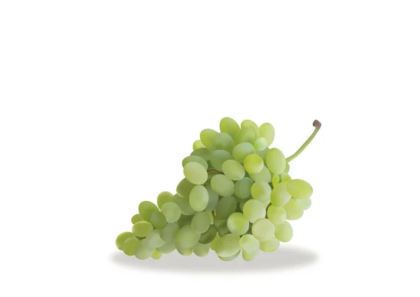 Automne, raisins , — Image vectorielle