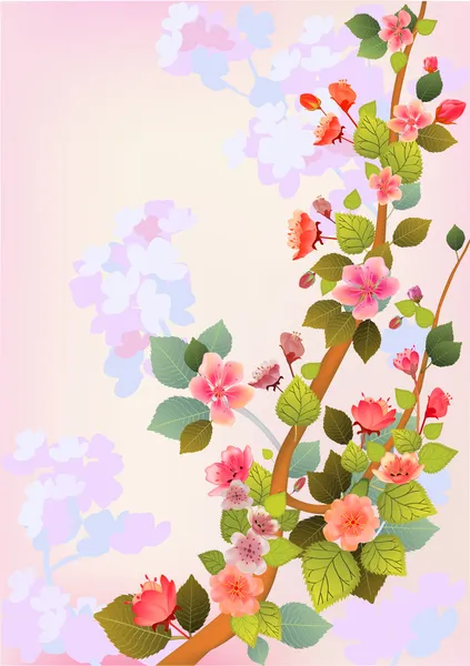 Fleurs sakura . — Image vectorielle