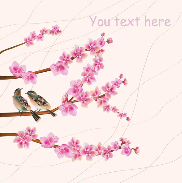 Sakura Bird. carte postale. menu . — Image vectorielle