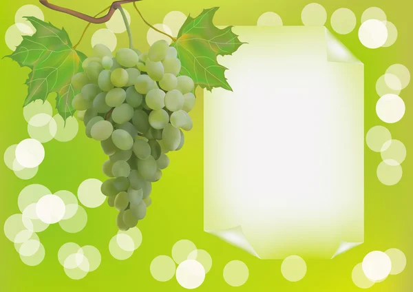 Реклама, вино, виноград — стоковий вектор