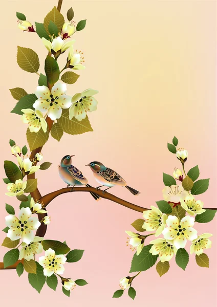 Sakura Bird. carte postale. menu . — Image vectorielle