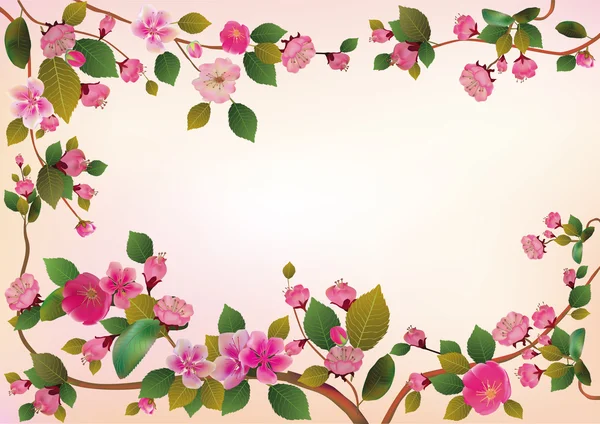 桜の花、春の自由を与える. — ストックベクタ