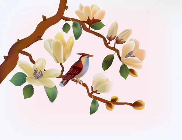 Magnolia floreciente en primavera, un pájaro sentado en una rama . — Archivo Imágenes Vectoriales