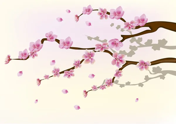 Sakura. briefkaart. menu — Stockvector