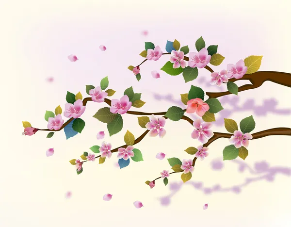 Sakura. kartpostal. Menü — Stok Vektör