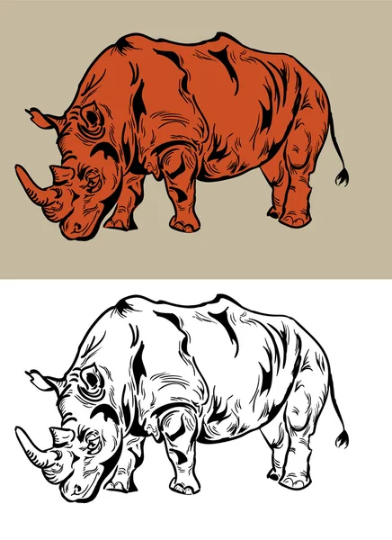 Dessin de Rhino vecteur — Image vectorielle