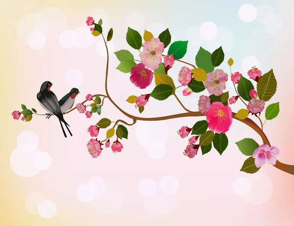 Liefdesvogels, sakura, lente, Valentijnsdag. — Stockvector