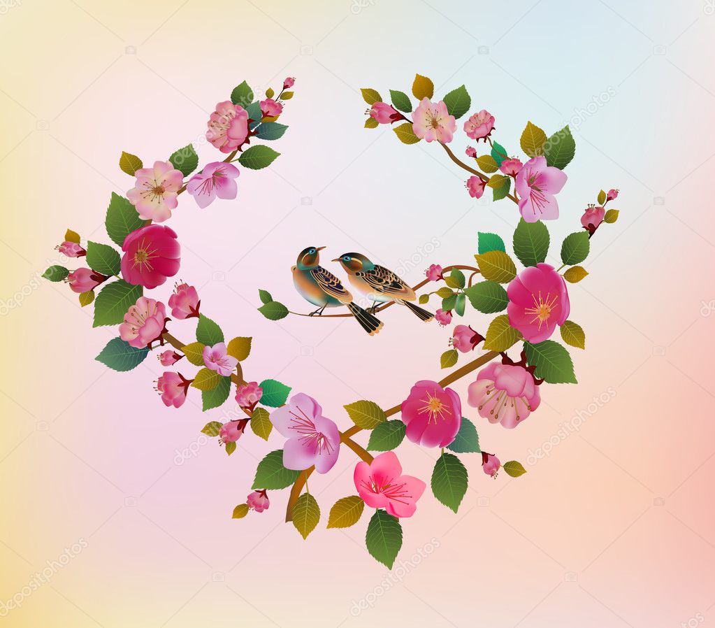Love birds, sakura, spring, Valentine's Day.