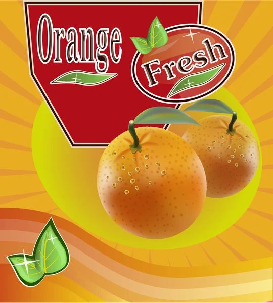 Jugo de naranja fresco Banner — Archivo Imágenes Vectoriales