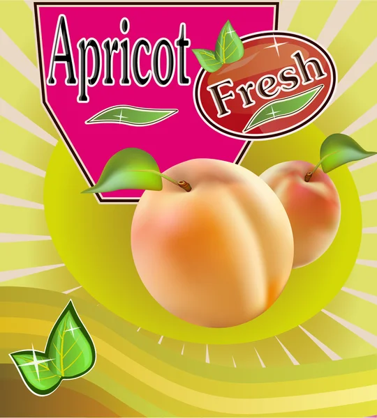 Färsk aprikos juice banner — Stock vektor