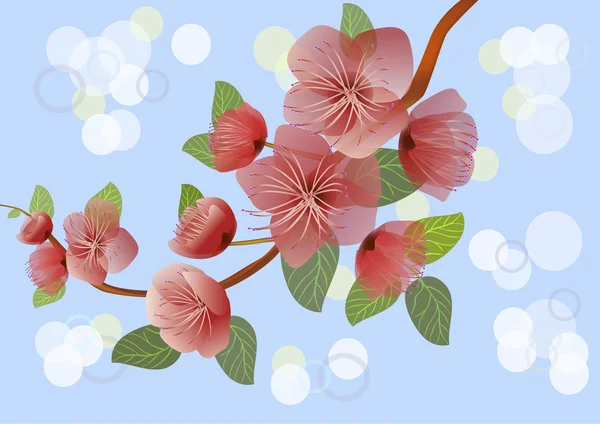 Sakura, lente, briefkaart . — Stockvector