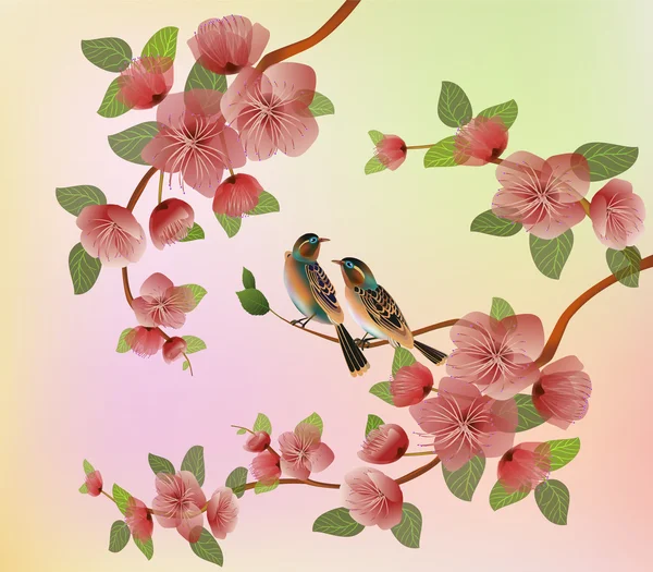 Banner sakura , primavera , cartolina . — Vettoriale Stock