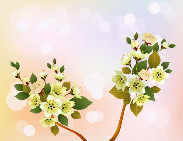 Sakura, printemps, carte postale  . — Image vectorielle