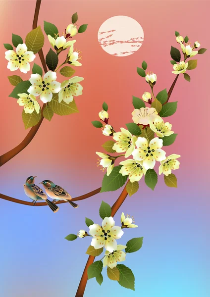 Soirée dans le jardin fleurissant cerise et oiseaux chantent — Image vectorielle