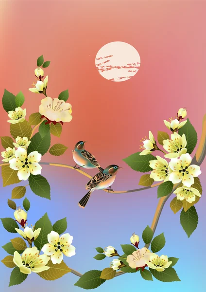 Sakura, Bahar, kartpostal . — Stok Vektör