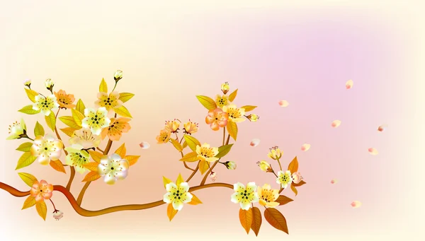 Sakura, printemps, carte postale  . — Image vectorielle