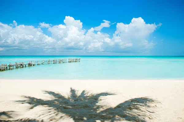 Caribische eiland. vakantie en toerisme concept. zon en palmen — Stockfoto