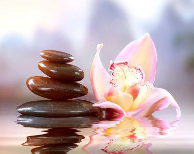 Spa zen taşlar. uyum kavramı