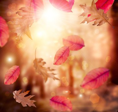 sonbahar. Güz. arka plan. yaprakları