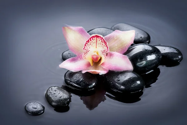 Spa Zen Stones — Stock Photo, Image