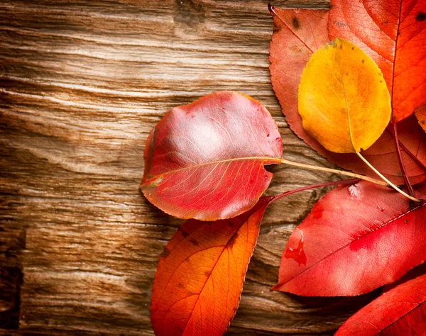 Outono Folhas sobre fundo de madeira. Queda — Fotografia de Stock