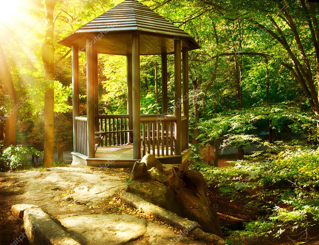 Arbor in Autumnal Park. Landscaping — Stock Photo © Subbotina 14134309