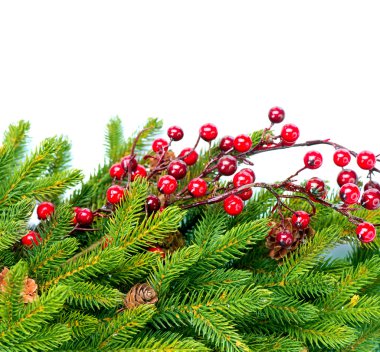 Noel ağacı süsleme sınır tasarlamak