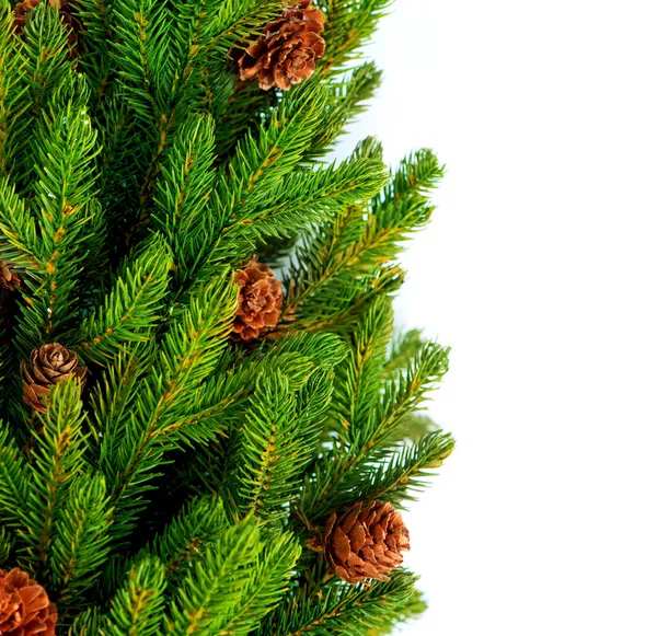Christmas Tree with Cones border isolated on a White background Royalty Free Stock Images