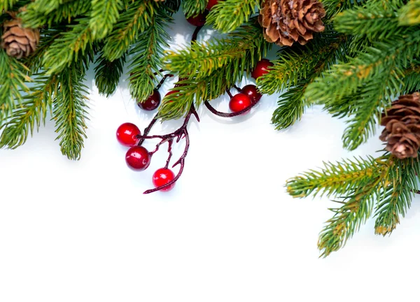 Kerstmis. altijdgroene fir tree boordmotief — Stockfoto