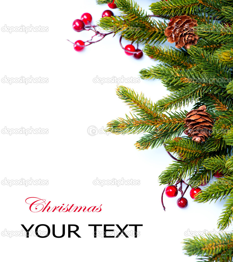 Christmas. Fir tree Border Design Isolated on white