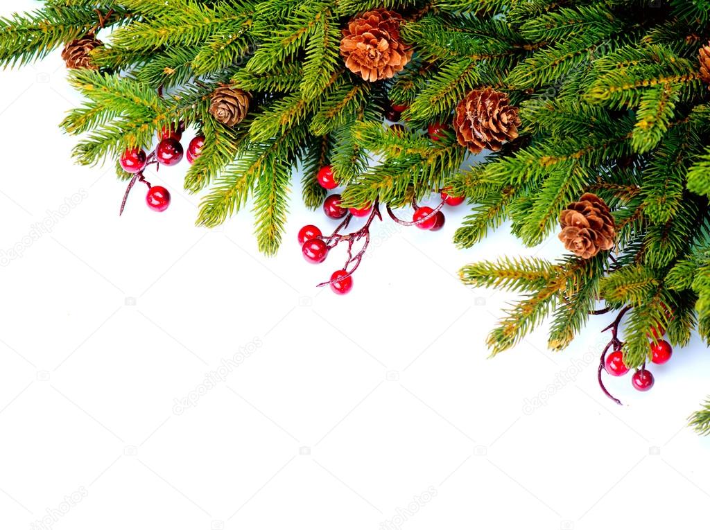 Christmas Evergreen Tree Border Design. Isolated on white
