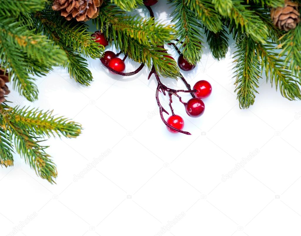 Christmas. Evergreen Fir tree Border Design